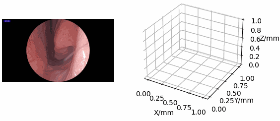 netrack.gif