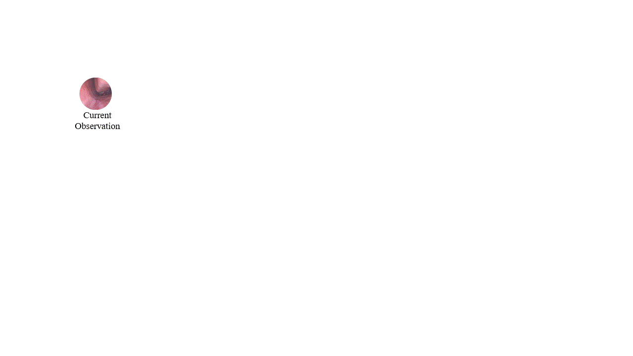 remote.gif